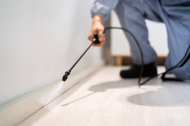 Bed Bug Pre-Treatment Preparation Assessment in North Sarasota